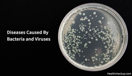 List of 20 Diseases Caused By Bacteria And Viruses in Humans