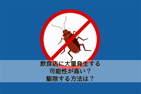 ゴキブリは飲食店に大量発生する可能性が高い？駆除する方法は？ ｜ 神奈川県の駆除専門業者クリーン計画プロープル