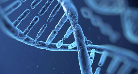 Biotechnology & Genetic Engineering