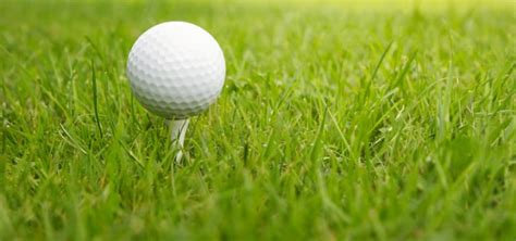 8 Types Of Golf Course Grass With Pictures