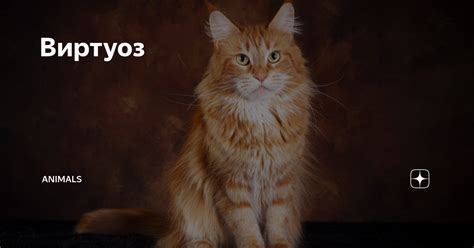 Виртуоз | Animals | Дзен