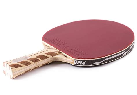 Migliori Racchette Da Ping Pong Guida Alla Scelta Rews