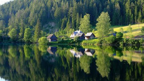 Beautiful Green Trees Grass Forest House Lake Reflection On Water