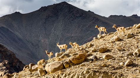 Kunlun Mountains