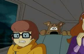 Scooby Doo Archives Reaction GIFs