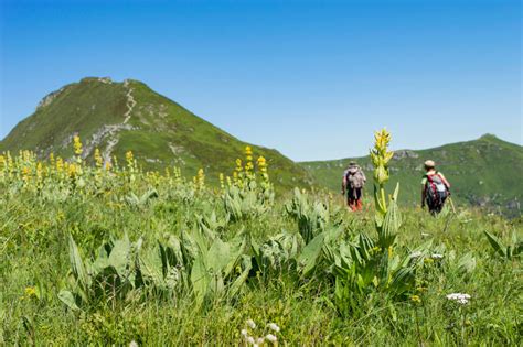 Grand Site De France Puy Mary Volcan Du Cantal Hautes Terres Tourisme