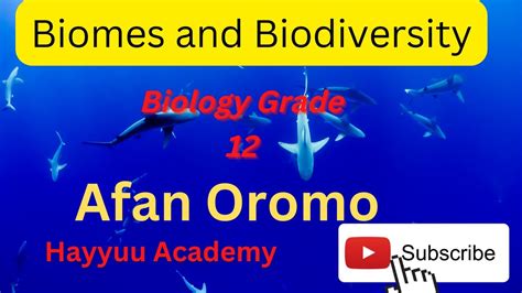 Biology Grade 12 Chapter 2 Part 2 In Afan Oromo YouTube