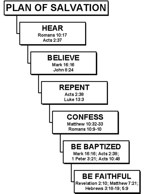 Highlights Of The Steps Of Salvation