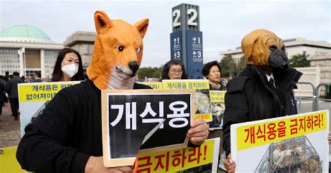 개식용 금지법 국회 소위 넘어동물단체 본회의도 통과시켜야