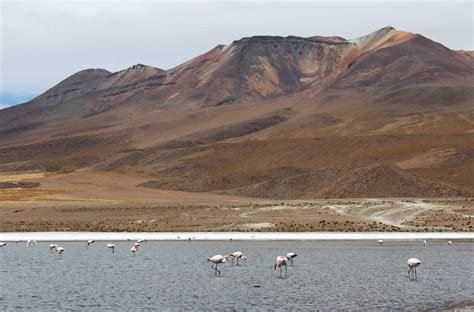 Fotos Do Uyuni Conhe A O Maior Deserto De Sal Do Mundo