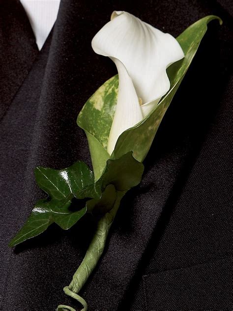 Chic White Calla Lily Buttonhole Pink Calla Lilies Calla Lily