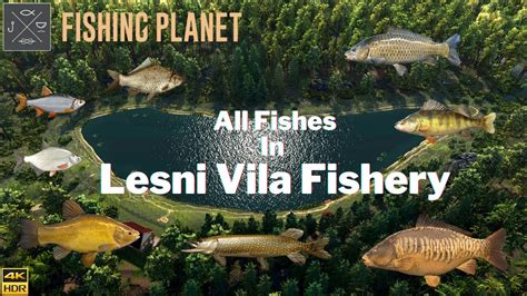 Fishing Planet All Fishes In Lesni Vila Fishery Youtube