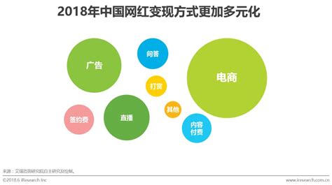 2018中国网红经济发展洞察报告