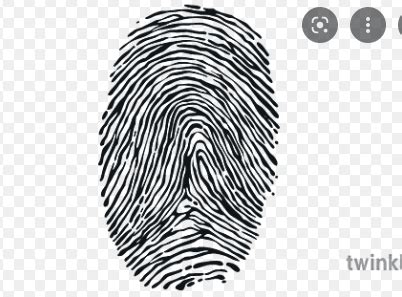 Fingerprint Notes Flashcards Quizlet