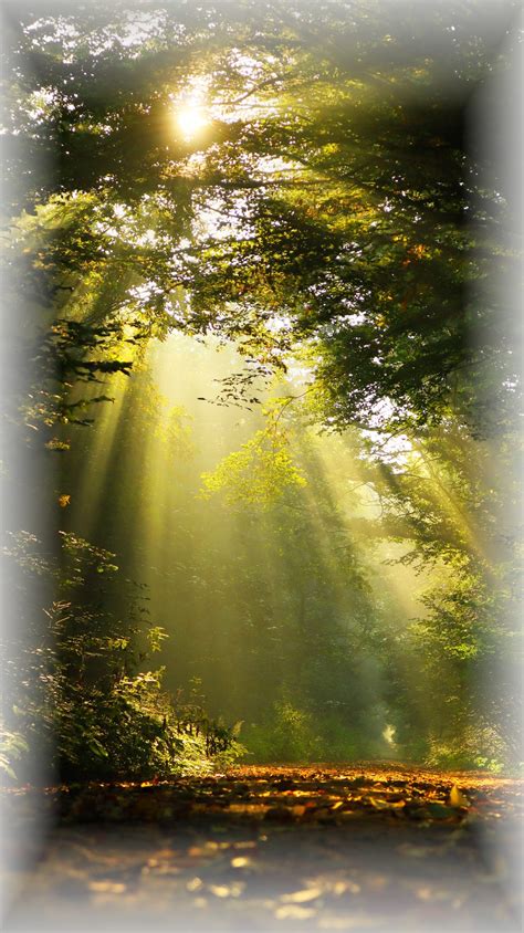 Waldweg12 Bestattung Allentsteig