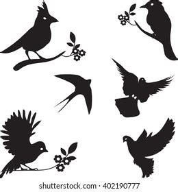 Vektor Stok Set Season Bird Twig Silhouettes Vector Tanpa Royalti