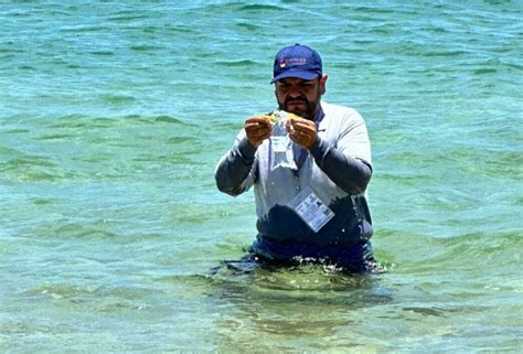 En Baja California están las playas más contaminadas de México Cofepris