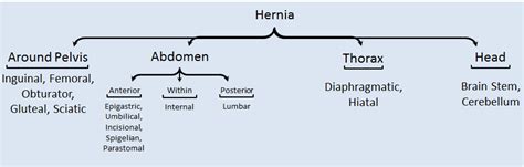 Internal Hernia Types