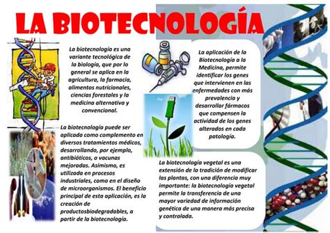 Infografia Sobre La Biotecnologia Ppt