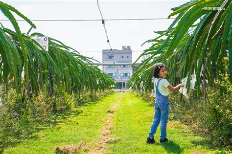 彰化青農帶路農遊趣｜食在地玩中學，親子遊體驗農村生活！｜來飽寶家ba 媽咪拜mamibuy