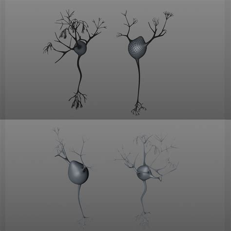 3D neuron - TurboSquid 1247185