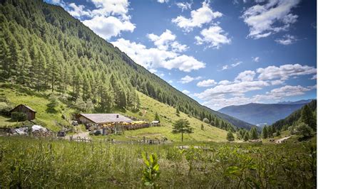 Escursione Per Famiglie Alla Malga Astner Escursione Outdooractive