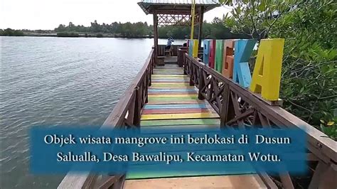 Rekomendasi Objek Wisata Hutan Mangrove Di Kabupaten Luwu Timur Youtube