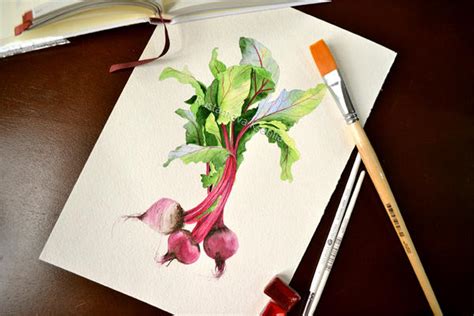 Watercolor beetroot by Rustamova on DeviantArt