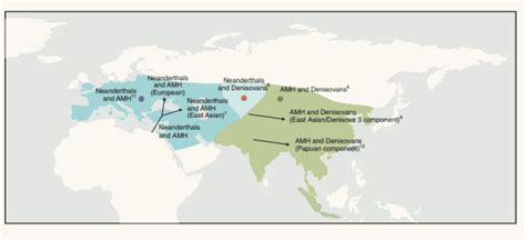 Map Of Neanderthal Dna