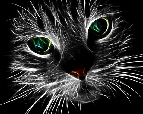 Free Illustration Cat Feline Fractal Flame Free Image On Pixabay