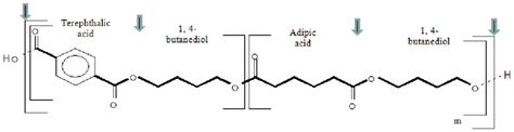 Formula Of The Aliphatic Aromatic Copolyester BTA 40 60 Used For The