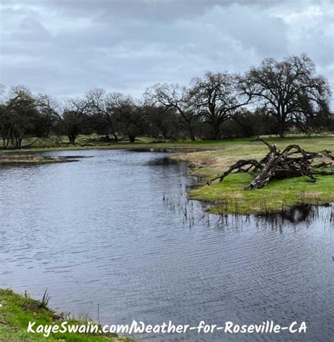 Discussing Weather for Roseville CA - KAYE SWAIN