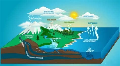 Ciclos Biogeoqu Micos Qu Son Y Su Importancia