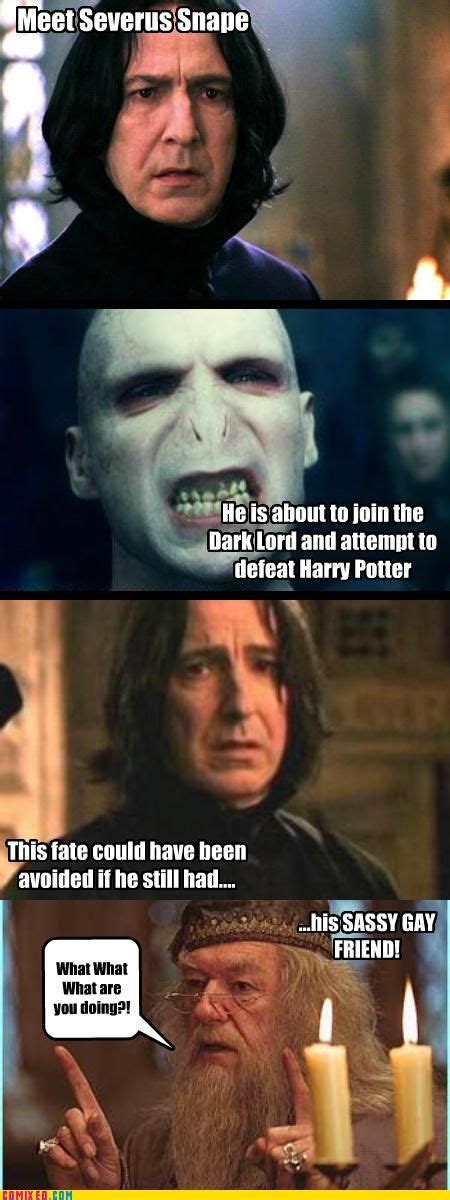 Harry Potter Gay Memes Hohpaagile