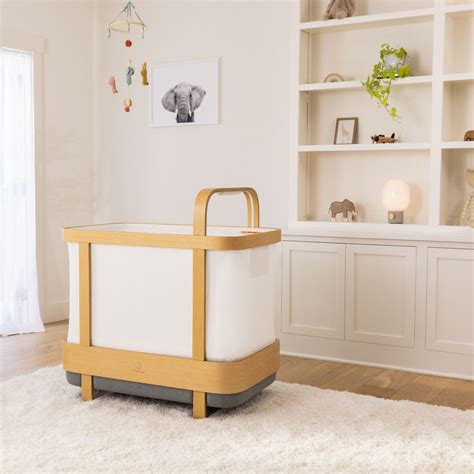 Babe By Hatch Your Support System For Pregnancy Motherhood And Beyond