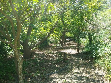 THE WONDER OF NATURE – LIVITY LIVING – Life Natural