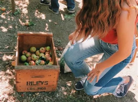 Apple Picking at Oak Glen, California | Giraffe View Blog