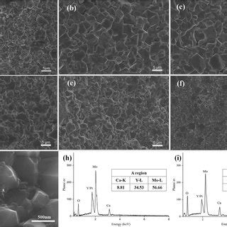 Sem Micrographs Of The X Cmxlym Ceramic Specimens Sintered At