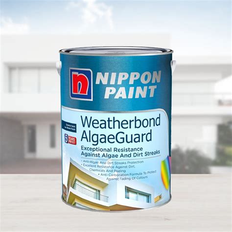 Exterior Paints – Nippon Paint Singapore