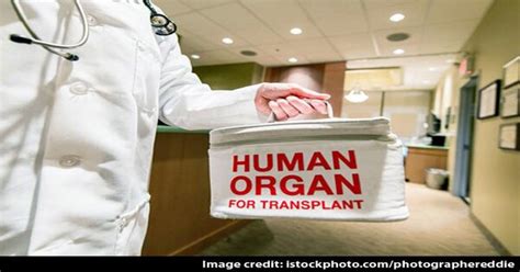 Organ Donation In India 6 Step Process