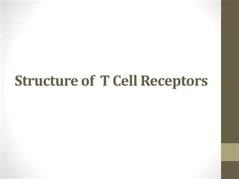 PPT - T Cell Receptors PowerPoint Presentation, free download - ID:2219833