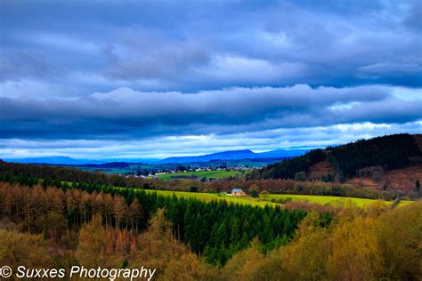 Forest of Dean Gloucestershire - UK Landscape Photography