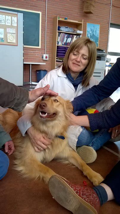 Miel El Perrito Adoptado Que Hace Felices A Los Chicos De ASPANIAS