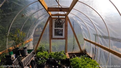 diy pvc greenhouse   day full step  step easy  cost build