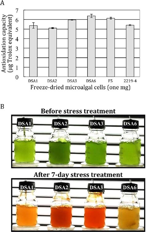 A Antioxidation Capacity Of The Six Microalgal Extracts From The Early