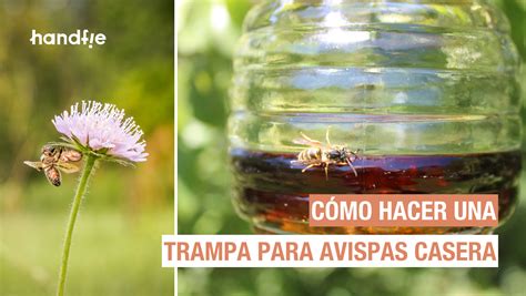 C Mo Hacer Una Trampa Para Avispas Casera Handfie Diy