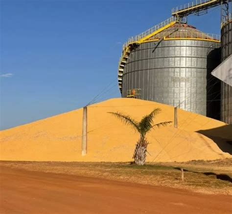 Trabalhador Morre Soterrado Em Silo De Milho Em MT FOLHAMAX