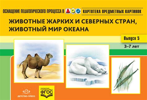 Книга: Картотека предметных картинок. Наглядный. Автор: Нищева Н.В ...