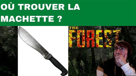 The Forest Emplacement Localisation Comment O Trouver La