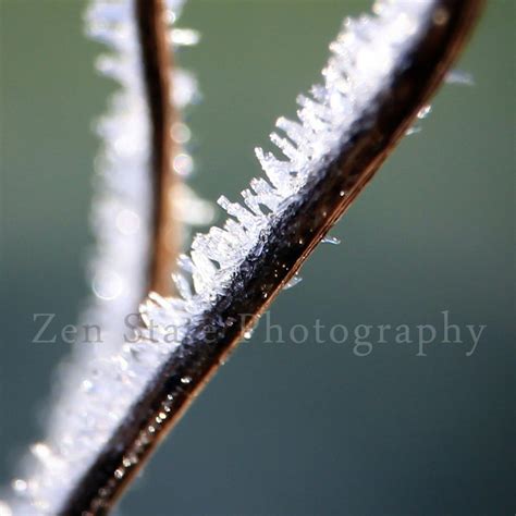 Hoar Frost Photograph. Nature Photography Print. Macro Photography. Frost Photo Print, Framed ...